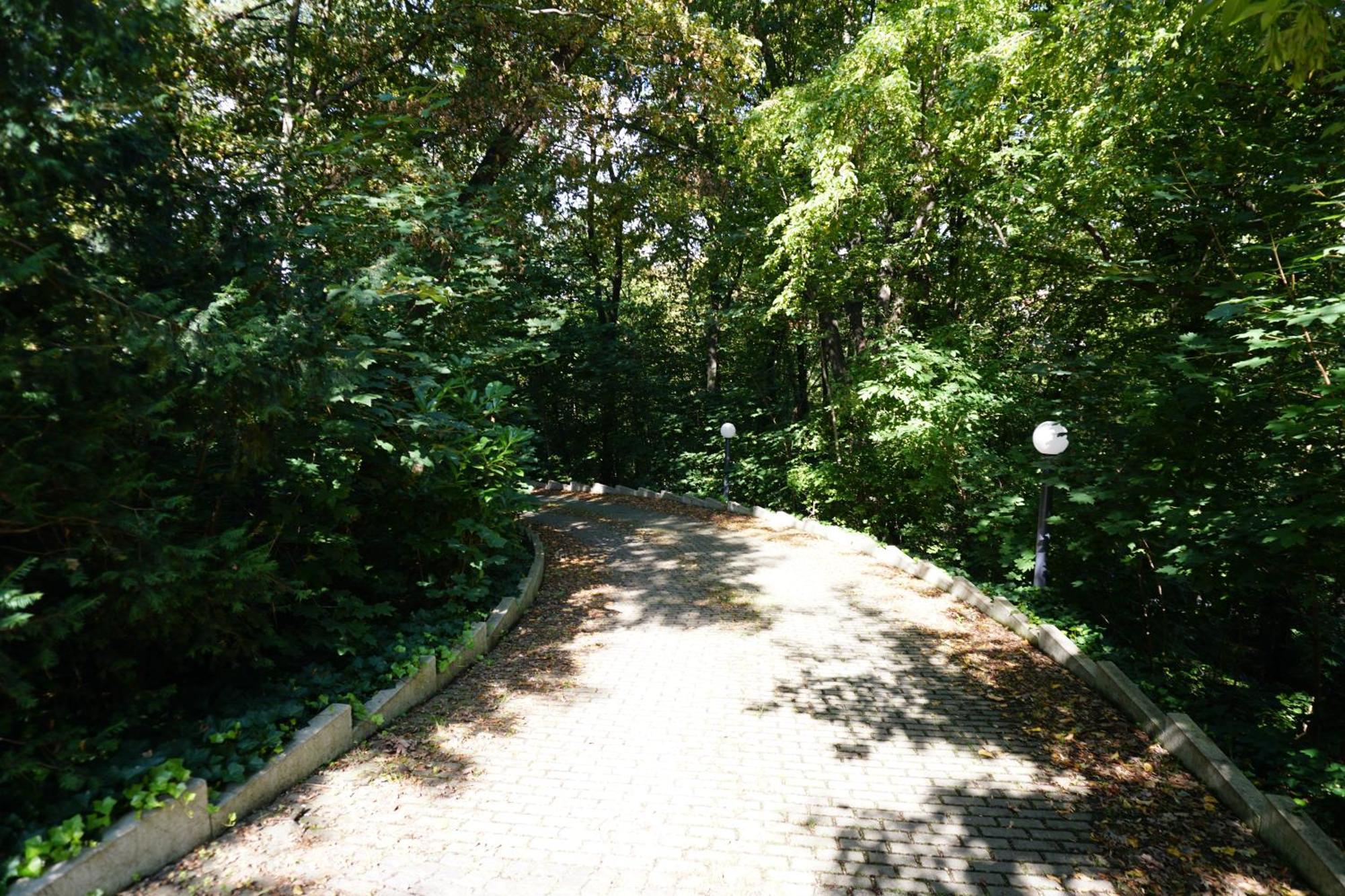 Villa Via Lapis - Panoramablick Ueber Dresden - Garten - Pool - Sauna - Luxus المظهر الخارجي الصورة